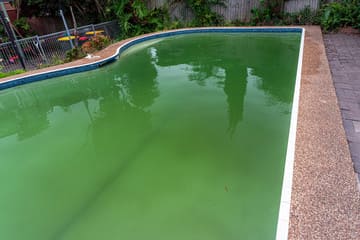Piscina suja com aspecto esverdeado